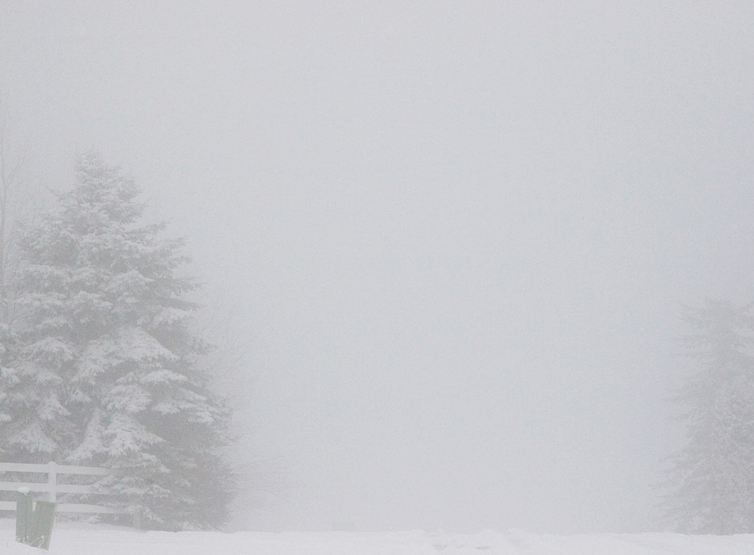 Ghost_trees_in_snow_2